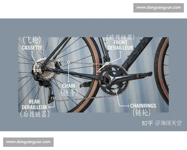 以速度与科技为核心的比赛用自行车性能进化全解析趋势与选择指南